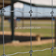 Hot-dip Galvanized Kraal Network Fence